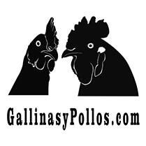 Gallinasypollos.com